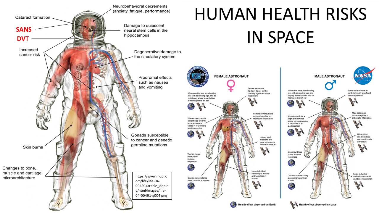 How the Human Body Changes in Space